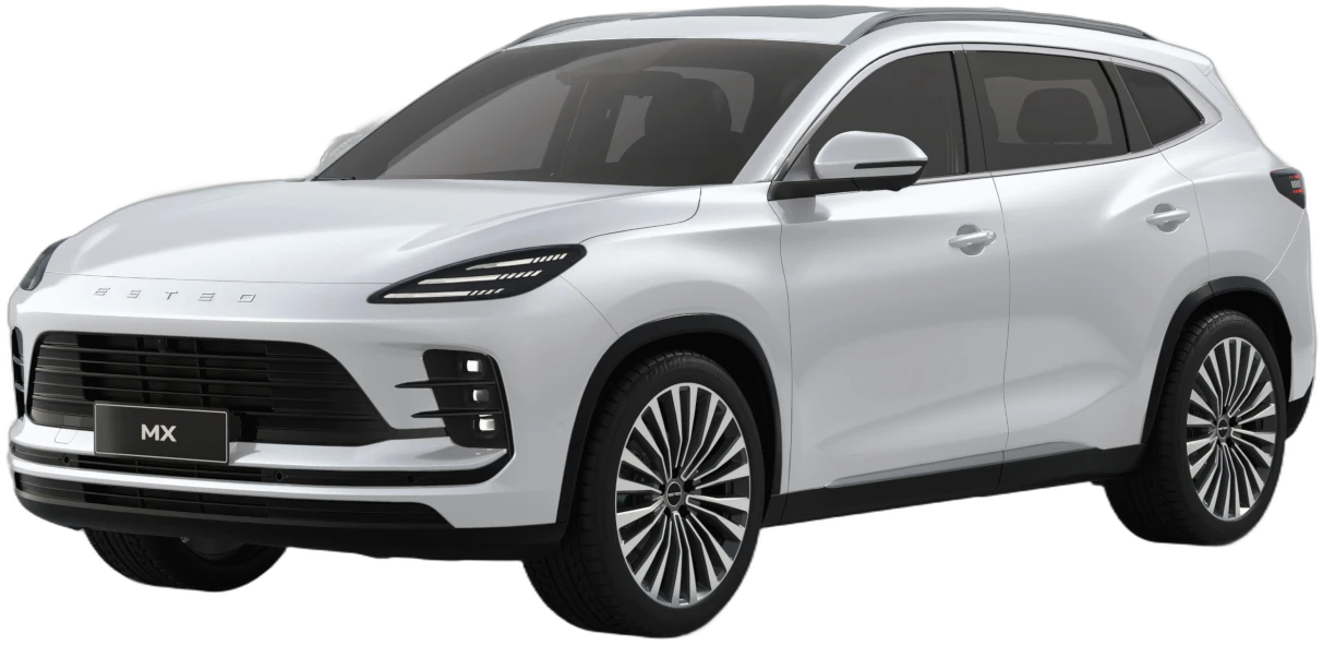 ESTEO MX, цвет Белый Аструм